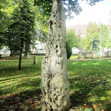 Menhir de la Grande Borne à Coulmier-le-Sec